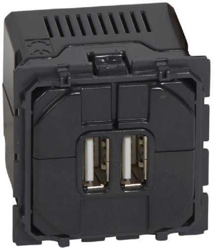 Розетка USB тип A+A без накладки без рамки Legrand Celiane 2-м. картинка